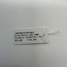 Load image into Gallery viewer, MARIHA マリハ UNITED ARROWS別注 Ancient Memories イアソン ホース シルバーコインチェーンネックレス 45cm 13847