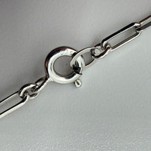 Load image into Gallery viewer, MARIHA マリハ UNITED ARROWS別注 Ancient Memories イアソン ホース シルバーコインチェーンネックレス 45cm 13847