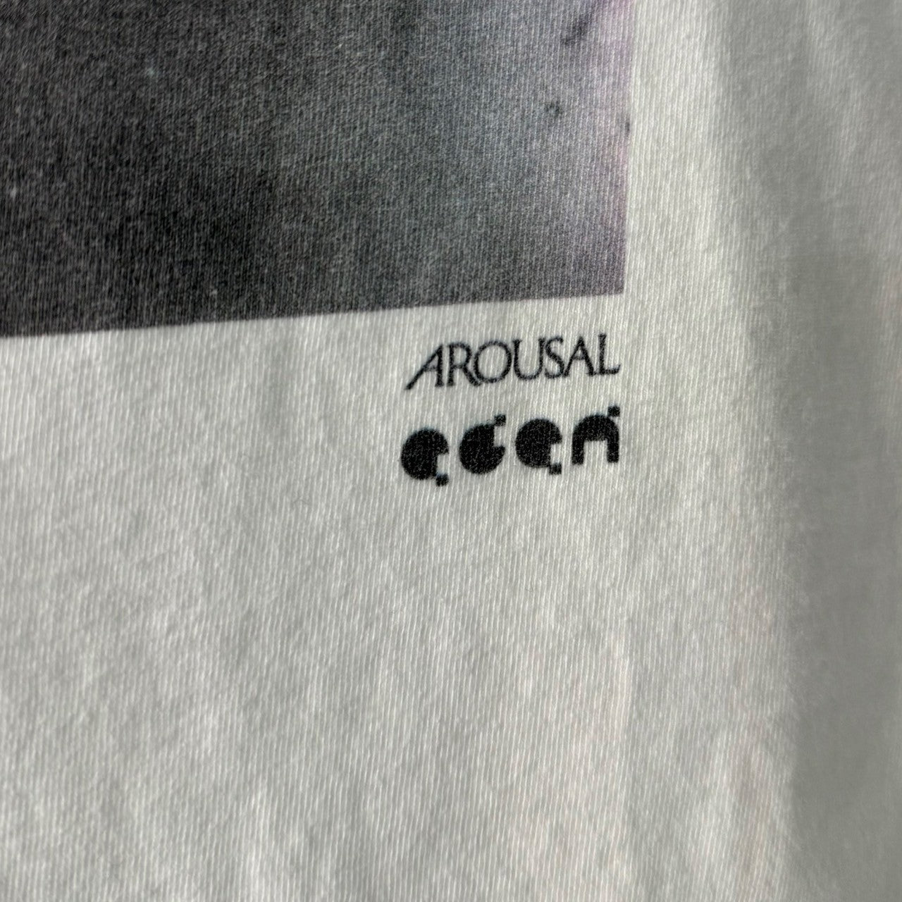 画像をギャラリービューアに読み込む, AROUSAL アローサル 有村勇史 Lost Wave フォトプリントTシャツ 13787