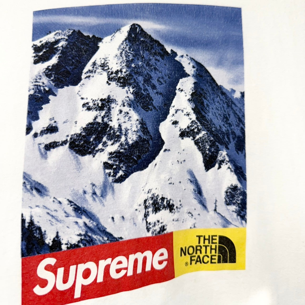 Supreme×THE NORTH FACE シュプリーム ザノースフェイス 17AW Mountain 
