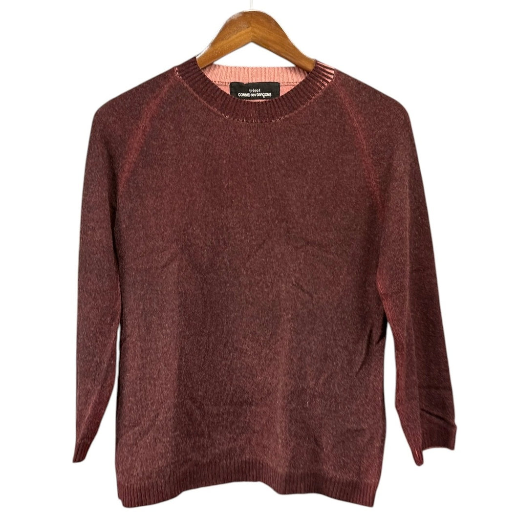 tricot COMME des GARCONS トリココムデギャルソン プリント加工ラグランスリーブニット TD-N013 バーガンディ AD2001 14991