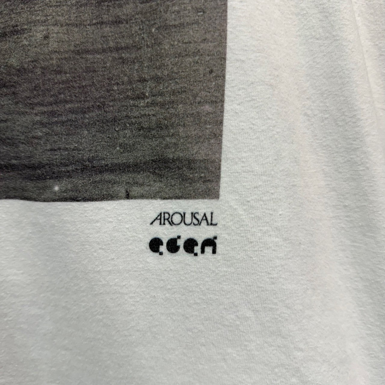 Load image into Gallery viewer, AROUSAL アローサル 有村勇史 Lost Wave フォトプリントTシャツ 13786